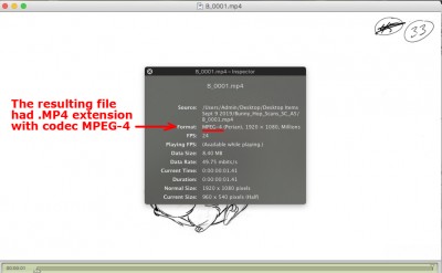 MPEG4_codec.jpg