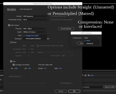 AE_PNG_Export_Options.jpg