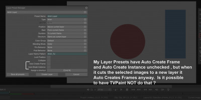 TVPaint Layer Presents_No-Auto-Create-Frames-Instances.jpg
